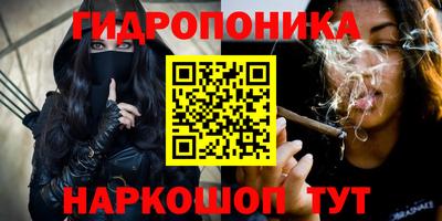 дурь Усть-Джегута