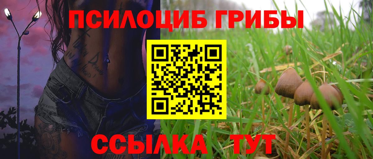 Нарткала  Псилоцибиновые грибы мицелий  Вход с VPN  Псилоцибиновые грибы мухоморы 